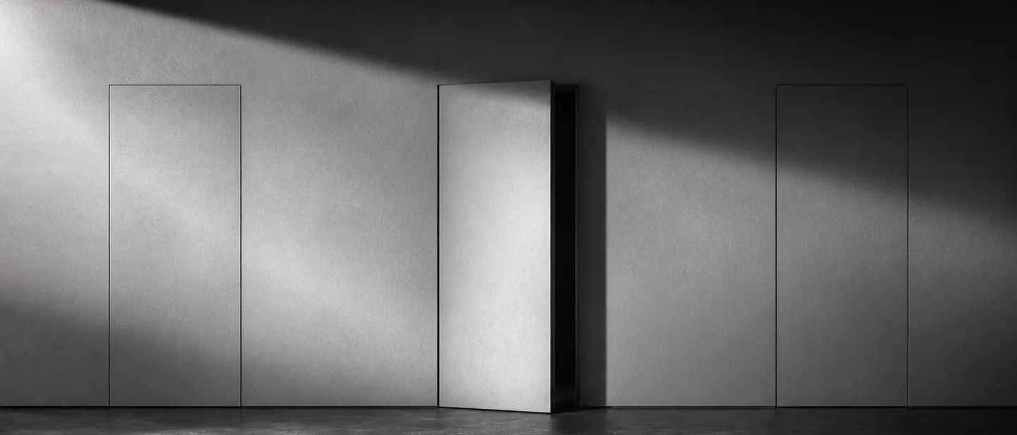 INVISIBLE flush concealed doors